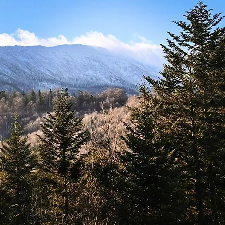 Gasthof Uroczysko Pod Babia Gora Zawoja