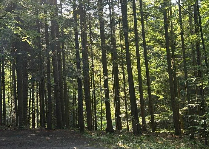 Uroczysko Pod Babia Gora Affittacamere