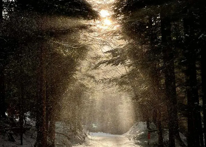 Uroczysko Pod Babia Gora Guest house Zawoja